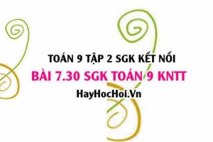 Bài 7.30 SGK Toán 9 tập 2 Kết nối tri thức